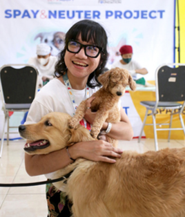 Volunteer with dogs at a spay-neuter clinic