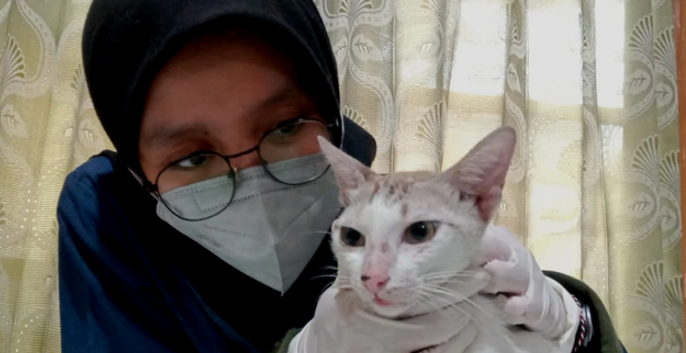 Partner clinic volunteer caring for a cat