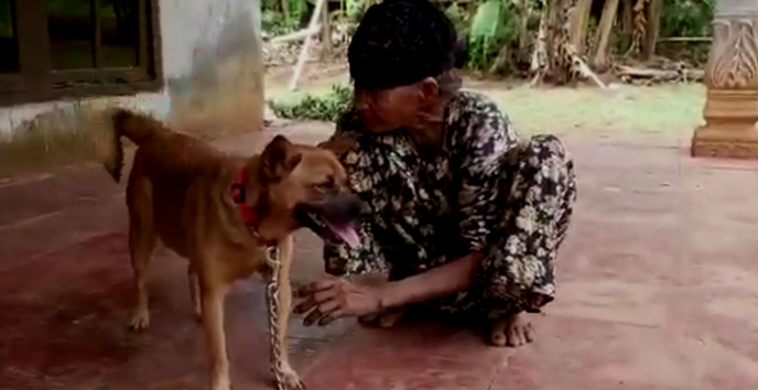 Person caring for a dog