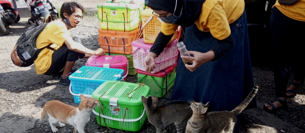 Volunteers with cat carriers during TNR work