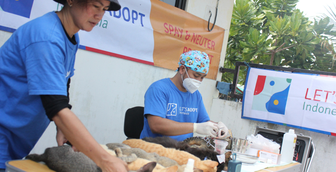 Outdoor TNR clinic with volunteers and cats