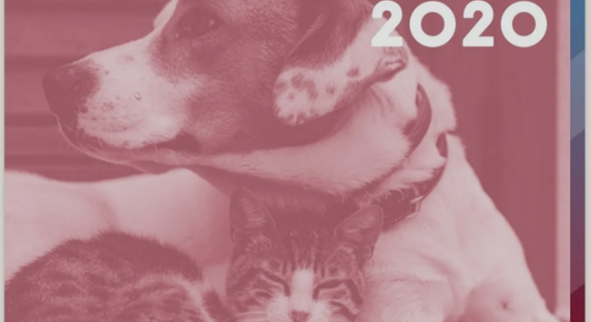 2020 Annual Report